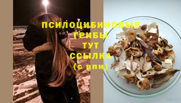 Альфа ПВП Осинники