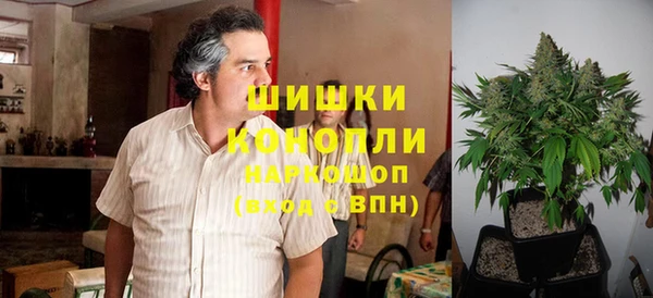 Альфа ПВП Осинники