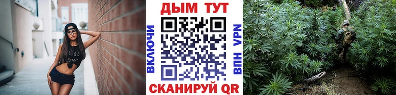 blacksprut Когалым Конопля OG Kush где купить наркоту